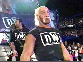 hulktoosweet.jpg (24245 bytes)